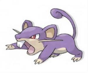 yapboz Rattata - Pokémon Normal tip, çabuk sıçan atak